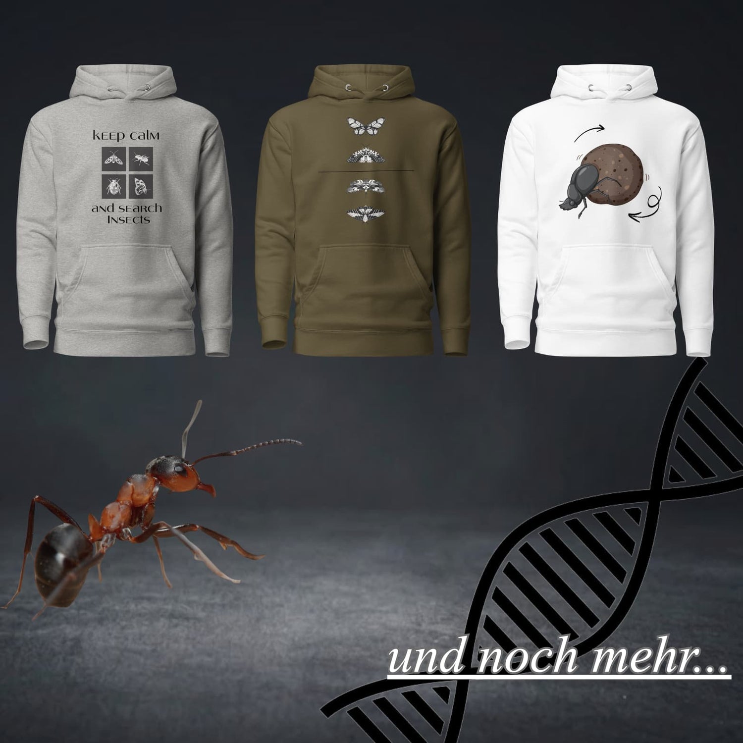 Entomology  Designs