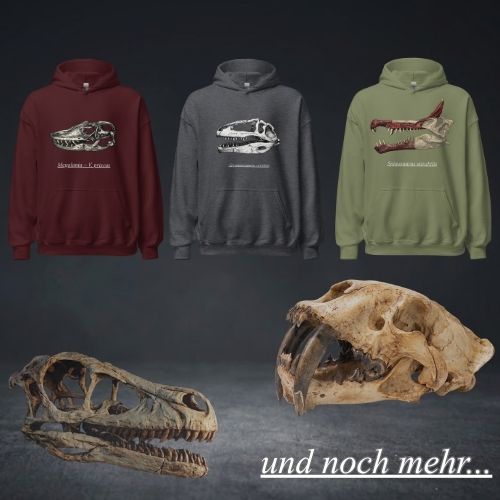 Paleo  Designs