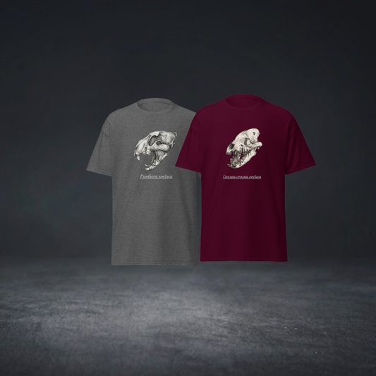 Höhlen-Bundle T-shirts
